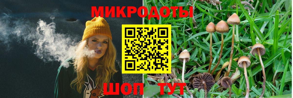 Псилоцибиновые грибы мицелий  Галлюциногенные грибы Psilocybe  Пушкино  как найти   Вход с VPN 